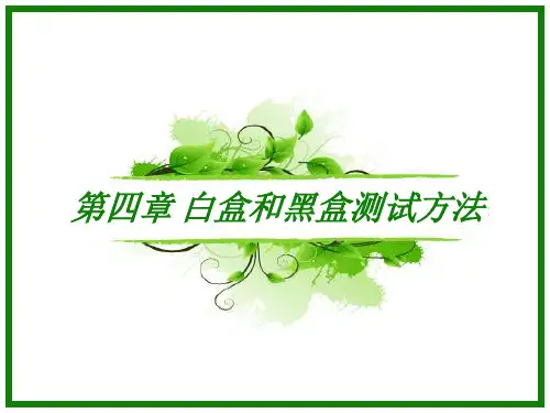 第四章 白盒测试和黑盒测试