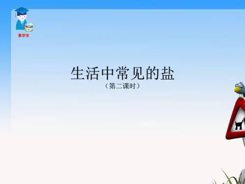 人教版化学九年级全册  第十一单元  课题1  生活中常见的盐  课件 