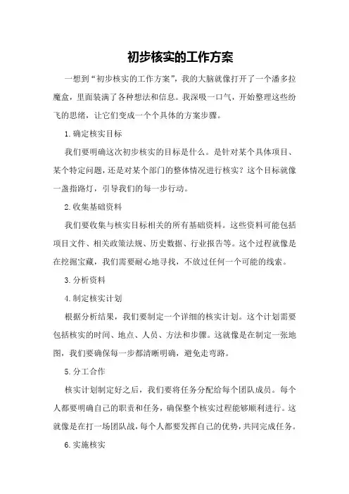 初步核实的工作方案