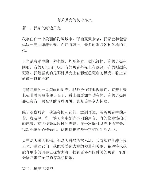 有关贝壳的初中作文