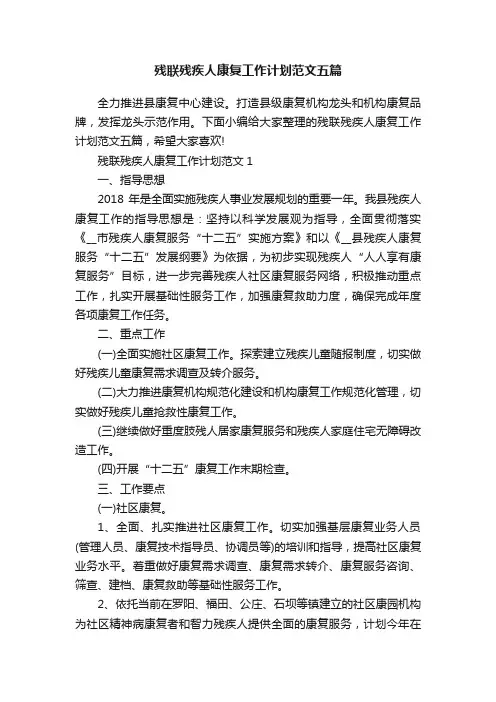 残联残疾人康复工作计划范文五篇