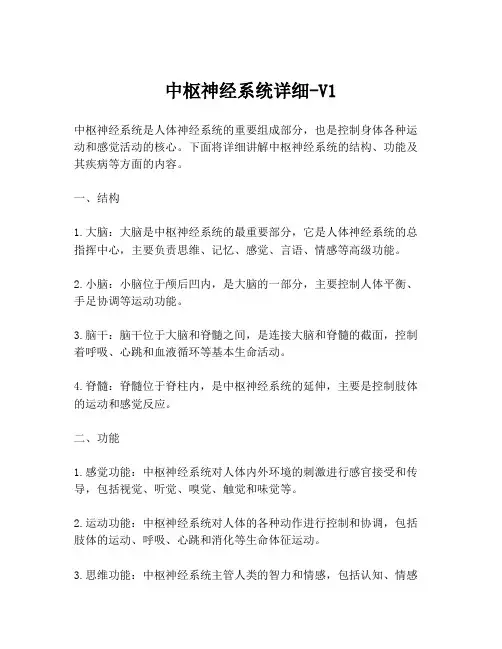 中枢神经系统详细-V1
