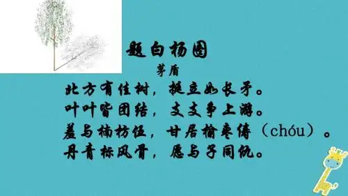 7八年级语文上册14白杨礼赞课件新人教版