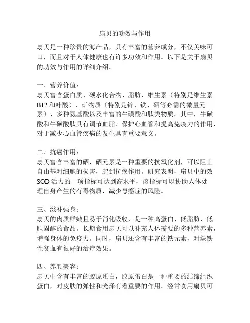 扇贝的功效与作用