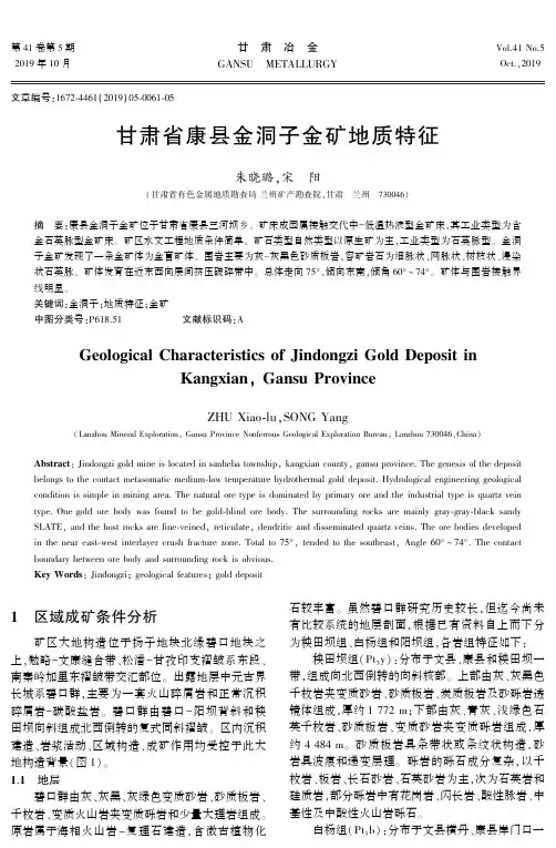甘肃省康县金洞子金矿地质特征