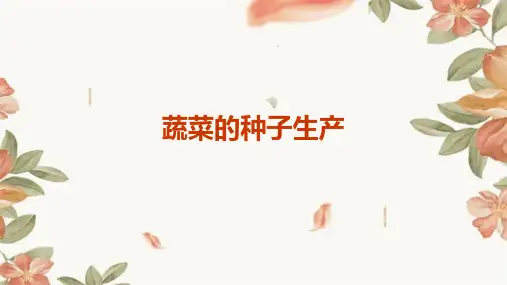 《蔬菜的种子生产》课件