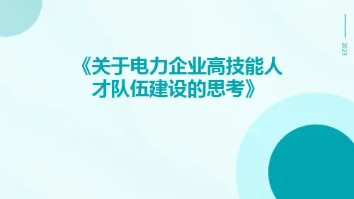 关于电力企业高技能人才队伍建设的思考