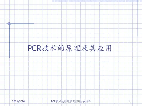 PCR技术的原理及其应用 ppt课件