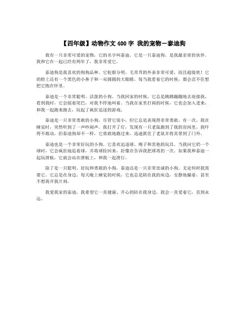 【四年级】动物作文400字 我的宠物―泰迪狗
