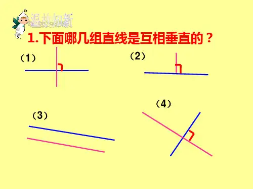 四年级画垂线课件