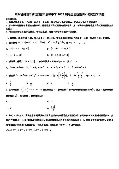 陕西省咸阳市武功县普集高级中学2025届高三适应性调研考试数学试题含解析
