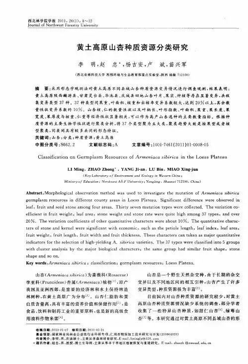 黄土高原山杏种质资源分类研究