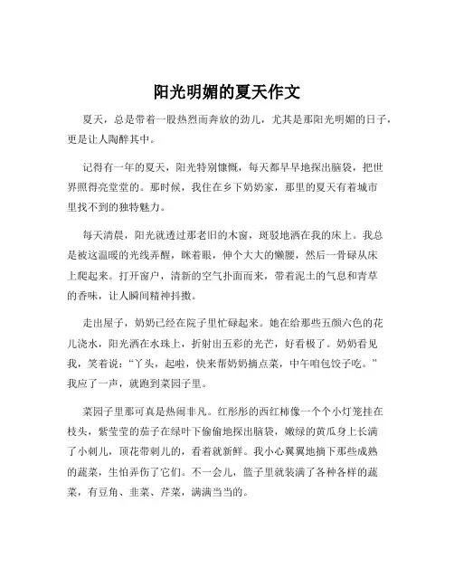 阳光明媚的夏天作文