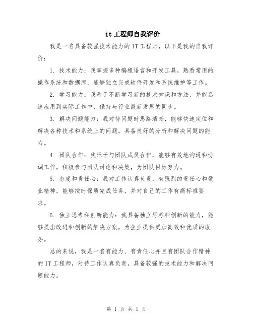 it工程师自我评价