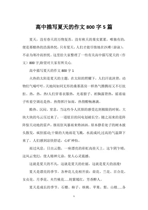 高中描写夏天的作文800字5篇