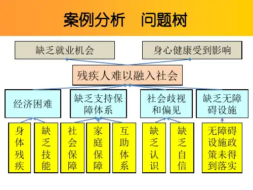 残疾人融入社会问题-目标分析