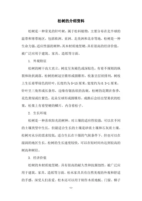 松树的介绍资料