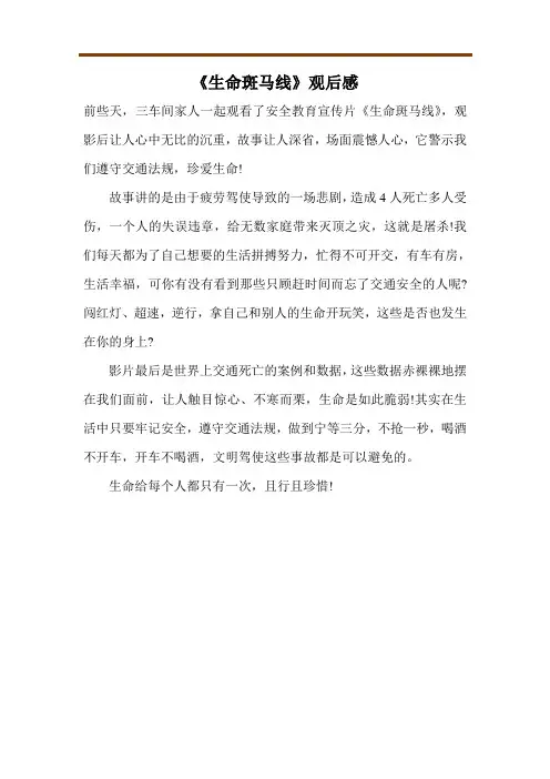 《生命斑马线》观后感