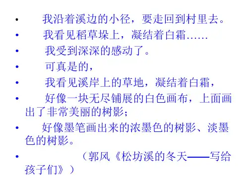 14 《松坊溪的冬天》PPT课件