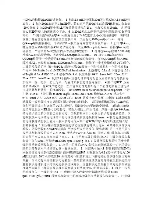 DNA提取步骤中文版