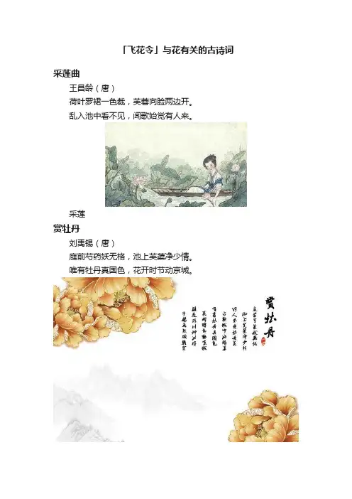 「飞花令」与花有关的古诗词