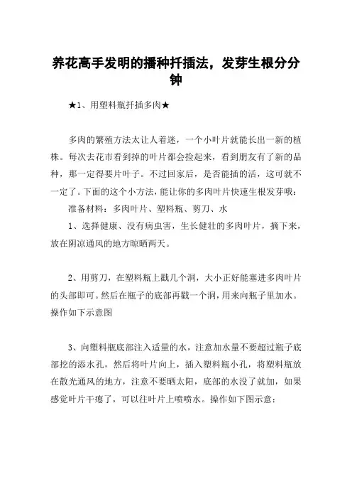 养花高手发明的播种扦插法,发芽生根分分钟