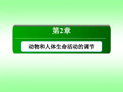 人教版高中生物必修三通过激素的调节课件PPT(66张)