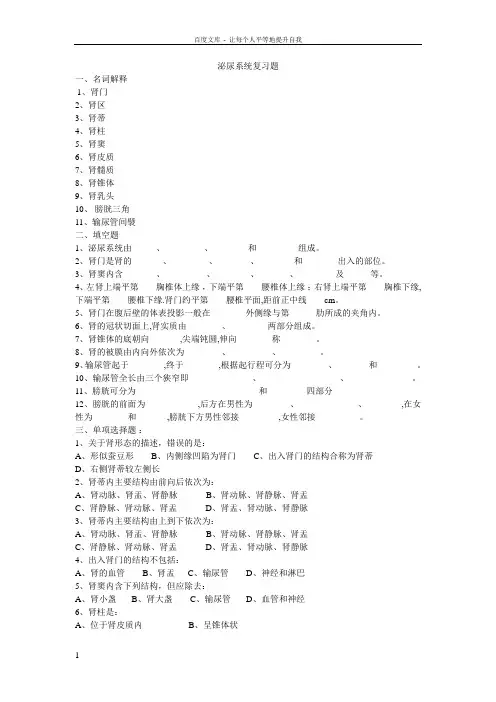 人体解剖学泌尿系统复习题