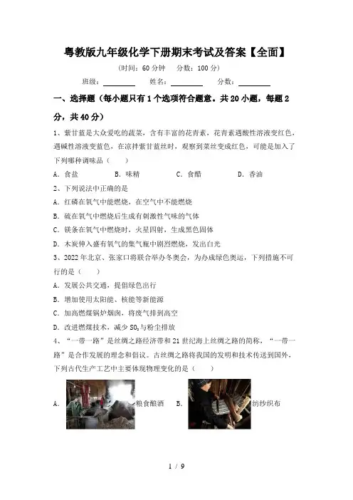 粤教版九年级化学下册期末考试及答案【全面】