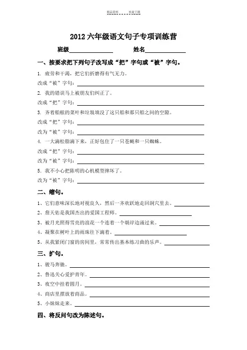 六年级语文句子专项训练营