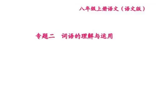 2017-2018学年八年级语文上册课件(语文版)：专题二 词语的理解与运用 (共18张PPT)