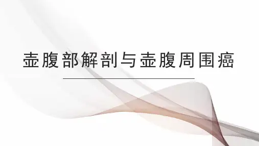 壶腹部解剖与壶腹周围癌影像诊断