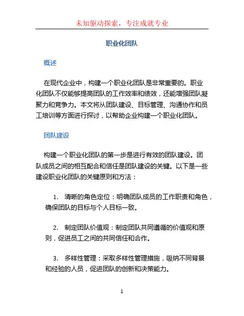 职业化团队
