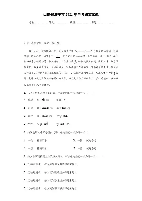 山东省济宁市2021年中考语文试题