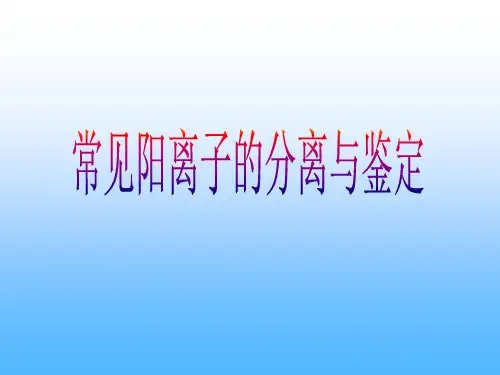 常见阳离子的分离与鉴定.