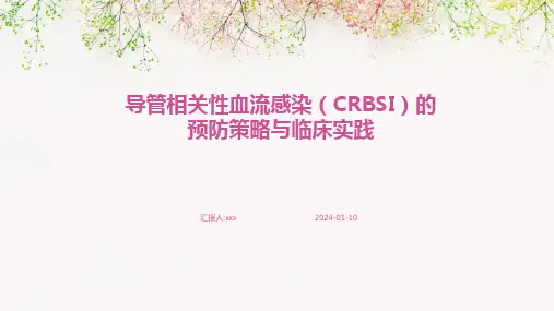 导管相关性血流感染(CRBSI)的预防策略与临床实践PPT课件