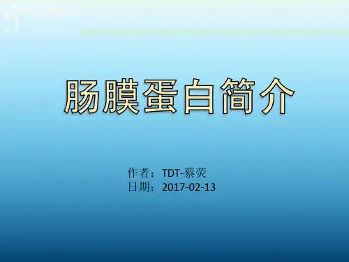 肠膜蛋白简介