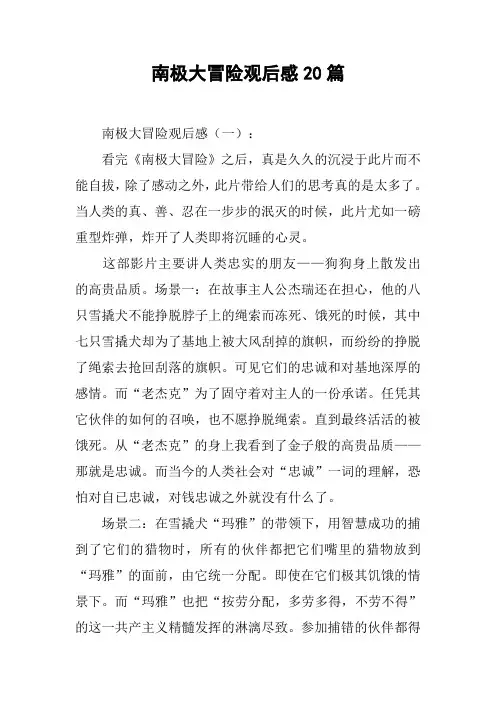 南极大冒险观后感20篇