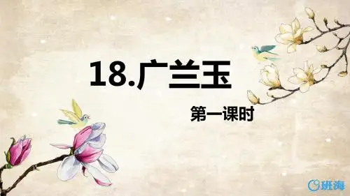 苏教版六下—18.广玉兰 第1课时【优质课件】.pptx