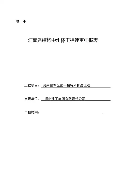 中州杯评审表(1)