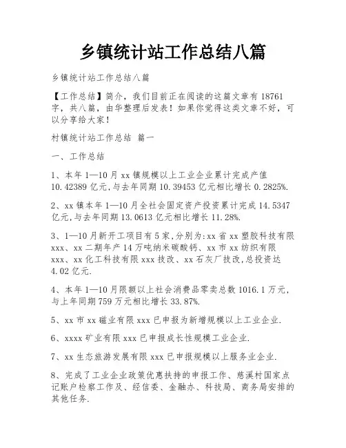 乡镇统计站工作总结八篇