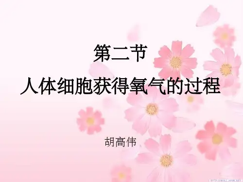 人体细胞获得氧气的过程46581ppt课件