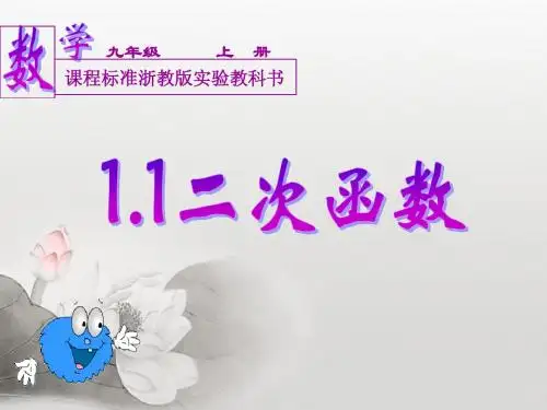 浙教版九年级(上)1.1二次函数