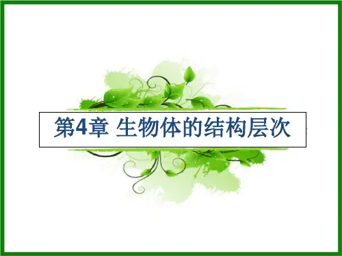 华师大版科学七年级上第四章生物体