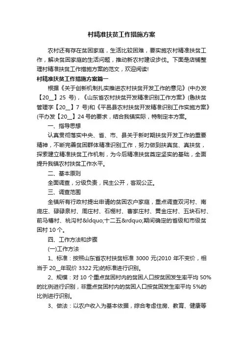 村精准扶贫工作措施方案