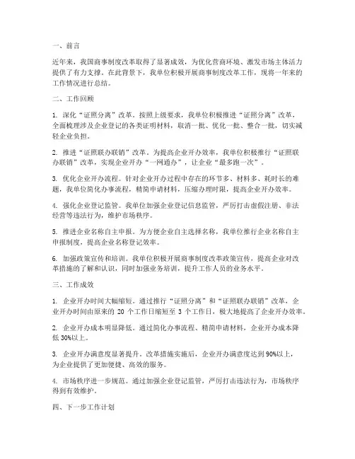 商事制度工作总结范文