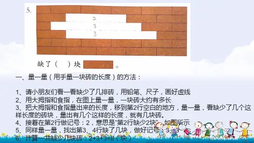 “量一量”和“找规律”