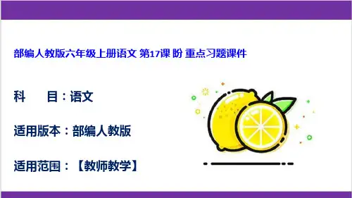 部编人教版六年级上册语文 第17课 盼 重点习题课件