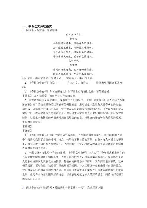 2020-2021中考语文一模试题分类汇编——诗歌鉴赏综合及详细答案