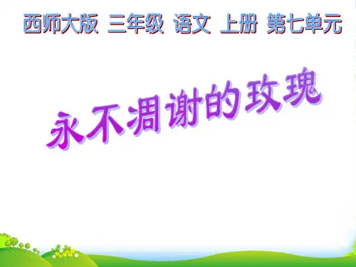 三年级语文上册 永不凋谢的玫瑰 1课件 西师大